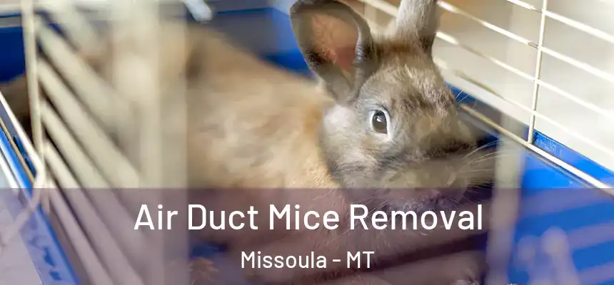 Air Duct Mice Removal Missoula - MT