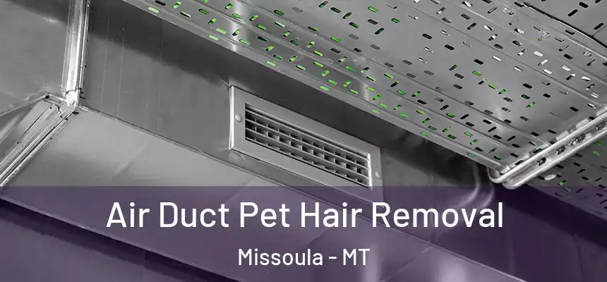 Air Duct Pet Hair Removal Missoula - MT
