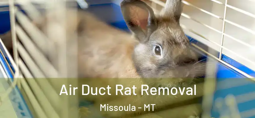 Air Duct Rat Removal Missoula - MT