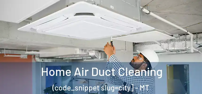  Home Air Duct Cleaning (code_snippet slug=city] - MT