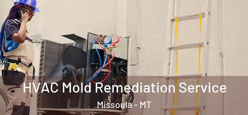 HVAC Mold Remediation Service Missoula - MT