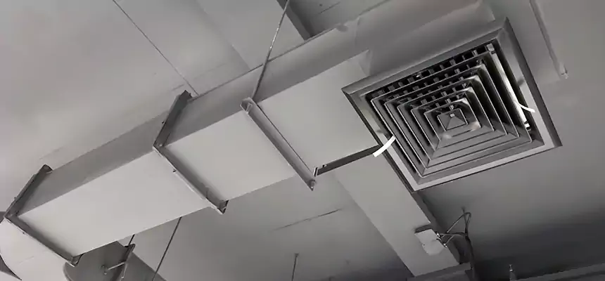 Restorative Allergy Relief Vent Cleaning – Coil, Blower & Housing Detail in Missoula