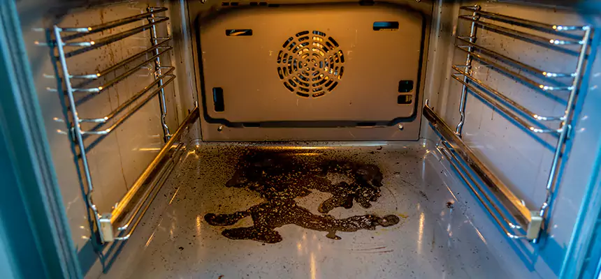 Our Dryer Vent Mold Cleaning Services in Missoula, MT