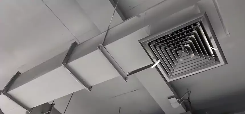 Our Pest Removal From Ducts Services in Missoula, MT