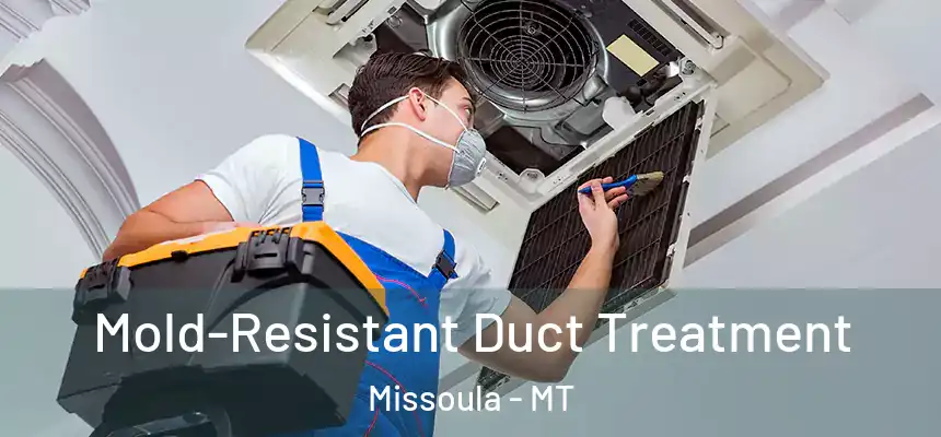  Mold-Resistant Duct Treatment Missoula - MT