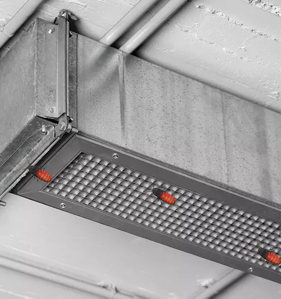 Affordable Insect Removal from Air Ducts in Missoula, MT