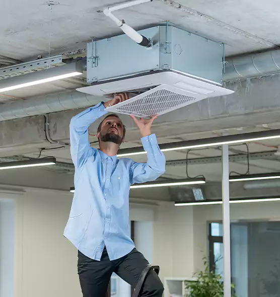 Advanced Rodent Droppings In Vents in Missoula, MT