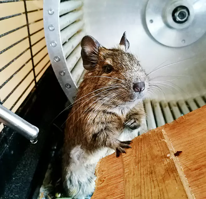 Why Homeowners & Businesses Trust Us Missoula, MT